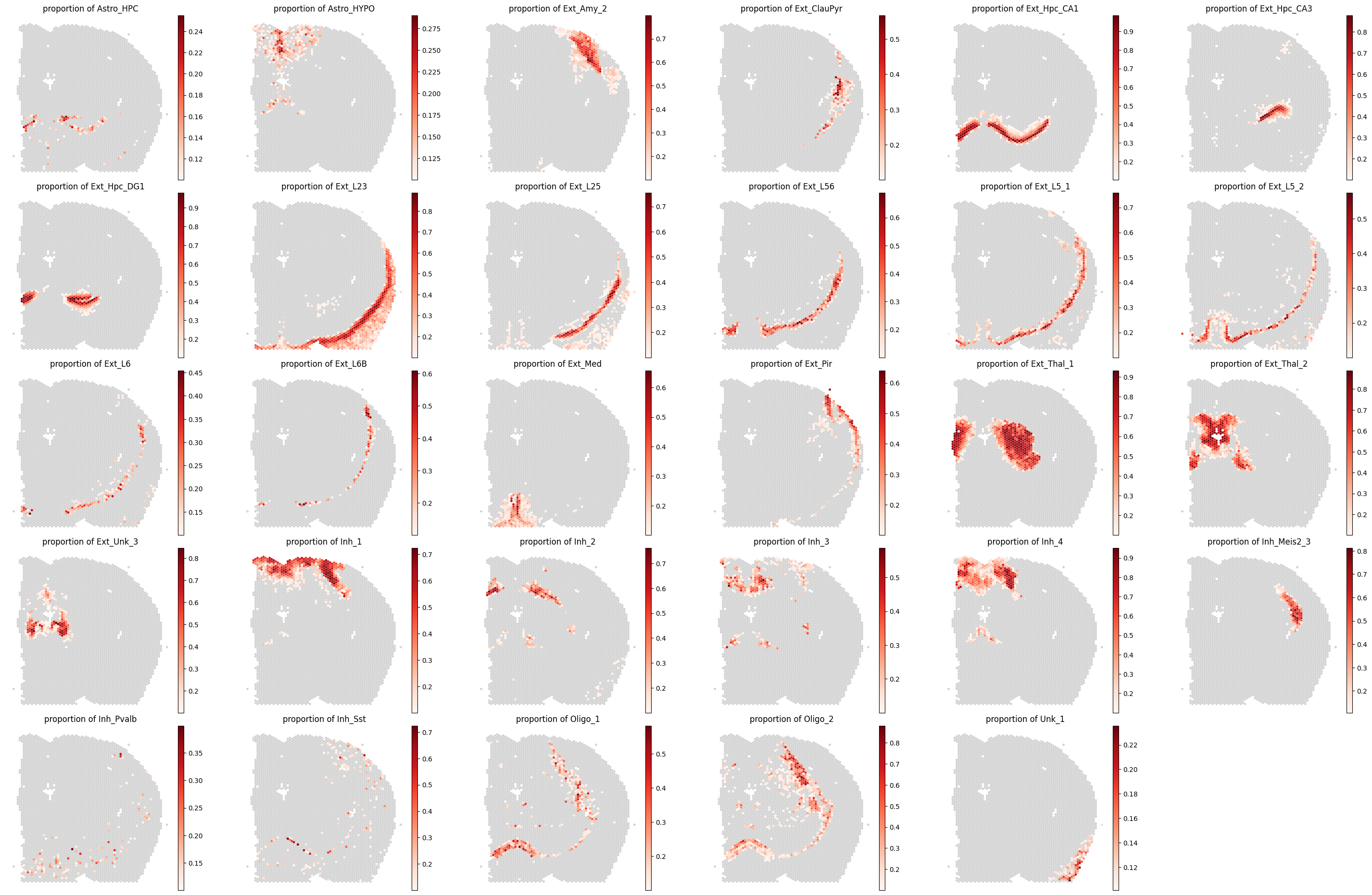 ../../_images/analysis_mouse_brain_mouse_brain_deconv_17_1.png